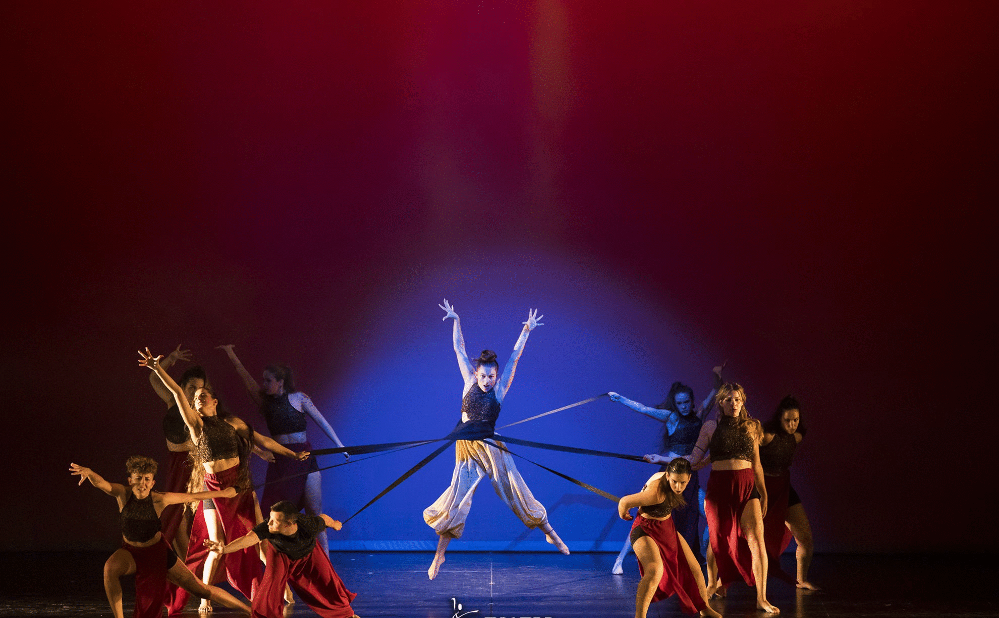 DANZAS CONTEMPORANEA
