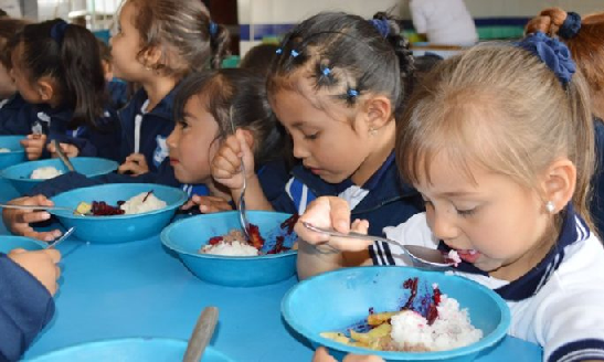 ALIMENTACIÓN Y NUTRICIÓN ESCOLAR