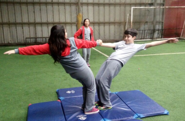 HABILIDADES SOCIALES Y TRABAJO EN EQUIPO EN LA EDUCACIÓN FÍSICA
