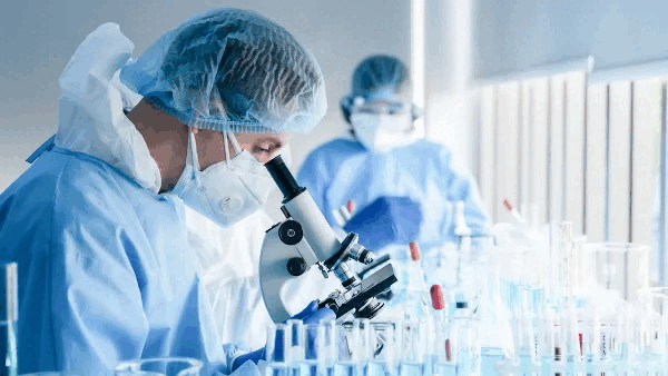 MICROBIOLOGIA