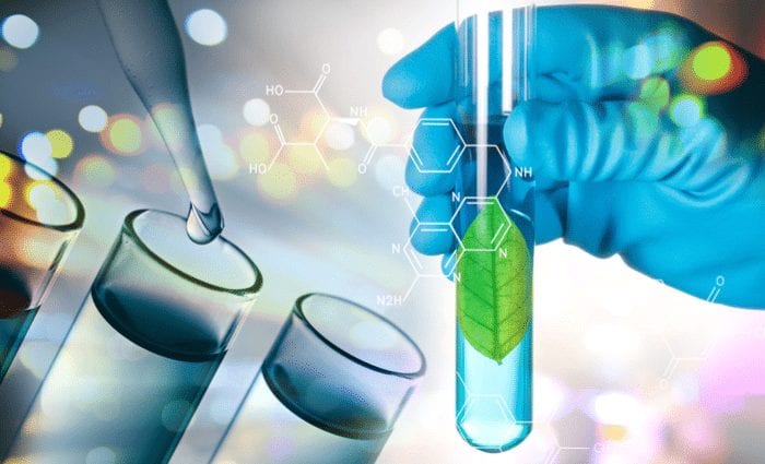 BIOLOGÍA MOLECULAR