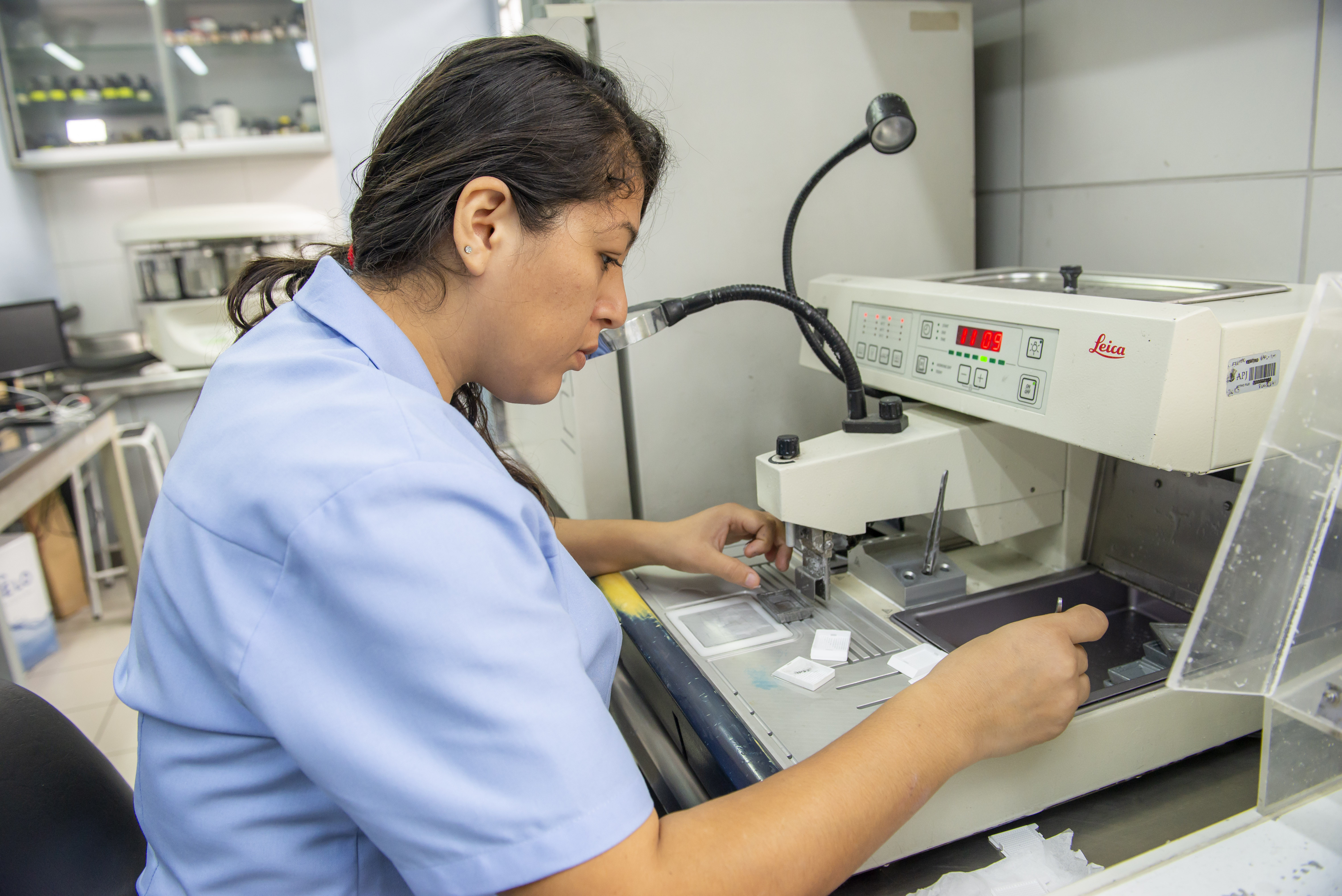 LABORATORIO DE ANATOMÍA PATOLÓGICA