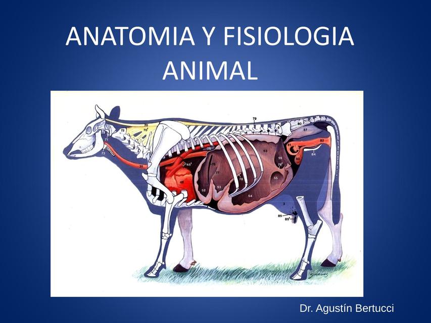 GANADERIA Y NUTRICION ANIMAL CON MENCION ANATOMIA Y FISIOLOGIA ANIMAL