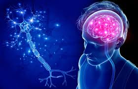TRASTORNOS DEL NEURODESARROLLO