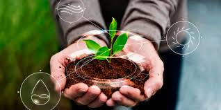 PRODUCCIÓN AGRÍCOLA Y TECNOLOGIA DE SUELOS