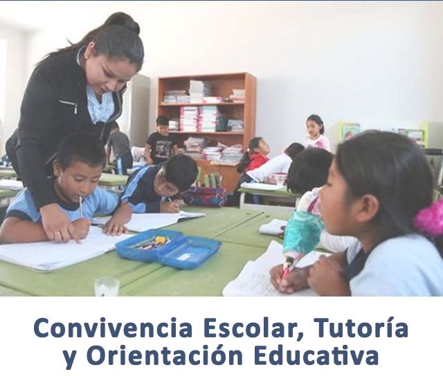 CONVIVENCIA ESCOLAR, TUTORIA Y ORIENTACIÓN VOCACIONAL