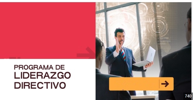 PROGRAMA DE LIDERAZGO DIRECTIVO