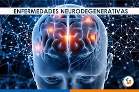 DEMENCIAS Y OTRAS AFECTACIONES NEURODEGENERATIVAS
