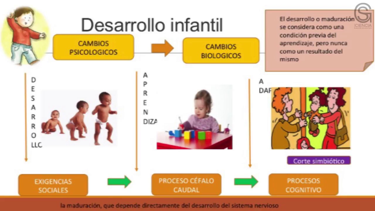 DESARROLLO INFANTIL