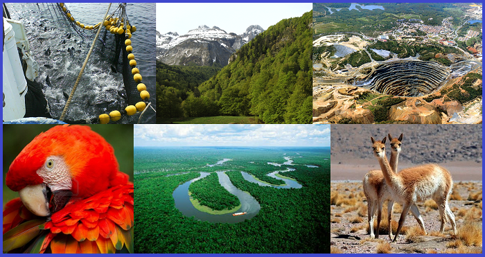 Recursos naturales, medio ambiente y desarrollo: Perú 1970-2010
