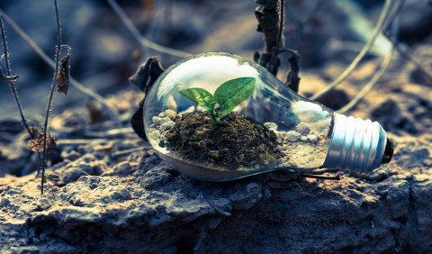 GESTIÓN INTEGRADA DE LOS RECURSOS NATURALES