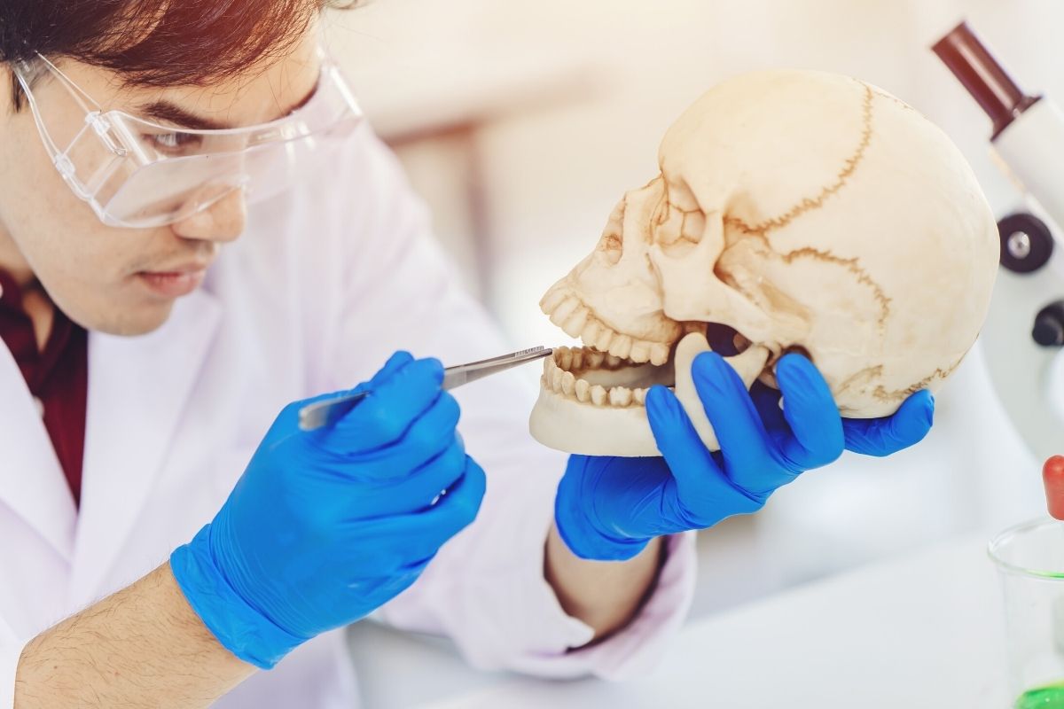 ODONTOLOGÍA FORENSE