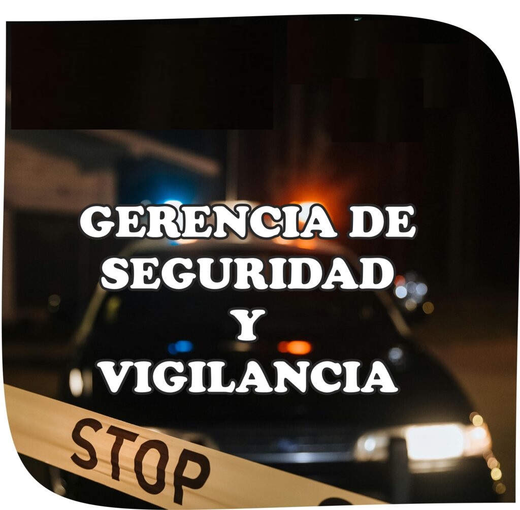 GERENCIA DE SEGURIDAD Y VIGILANCIA