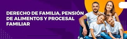 DERECHO DE FAMILIA, PENSIÓN DE ALIMENTOS Y PROCESAL FAMILIAR