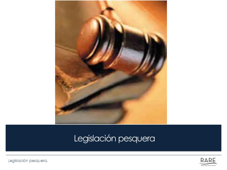 LEGISLACIÓN PESQUERA