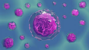BIOLOGIA CELULAR