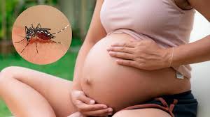 MANEJO DE DENGUE EN GESTANTES
