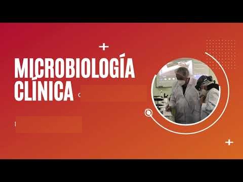 MICROBIOLOGÍA CLÍNICA