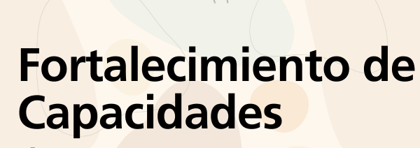 FORTALECIMIENTO DE CAPACIDADES