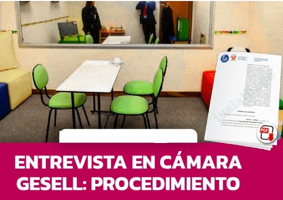 ENTREVISTA ÚNICA EN CÁMARA GESELL