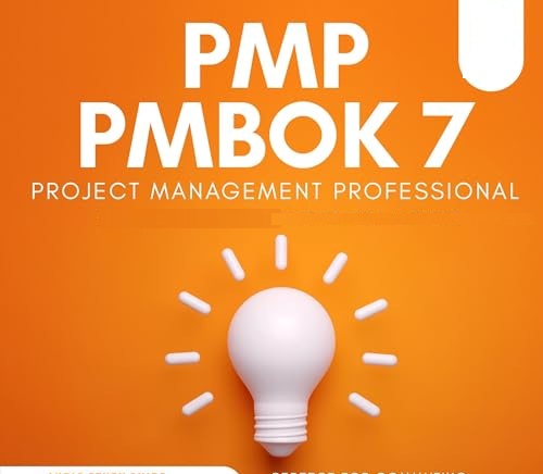 GERENCIA DE PROYECTOS BAJO EN ENFOQUE PMBOK 7 DEL PMI
