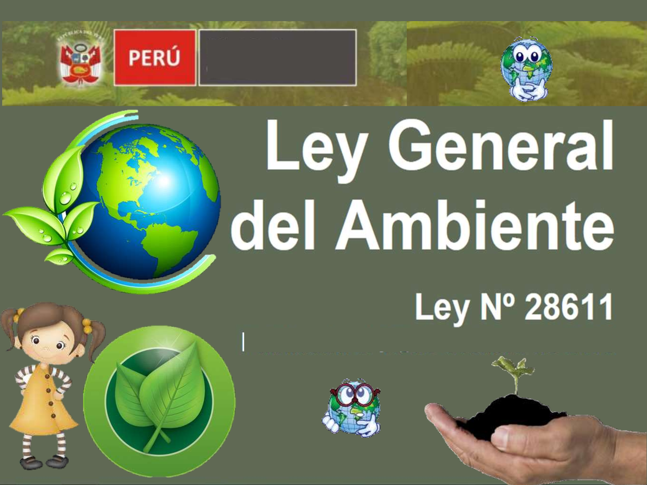 LEY N° 28611, LEY GENERAL DEL AMBIENTE