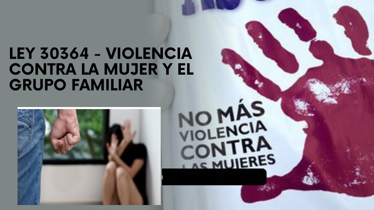 VIOLENCIA CONTRA LAS MUJERES E INTEGRANTES DEL GRUPO FAMILIAR (LEY N° 30364)