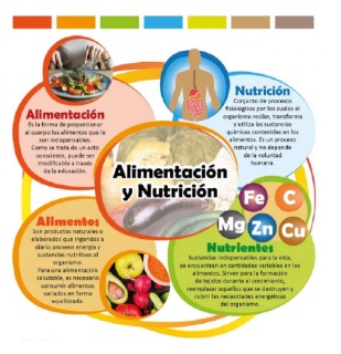 ALIMENTACIÓN Y NUTRICIÓN SALUDABLE