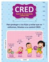 CRED – CONTROL DE CRECIMIENTO Y DESARROLLO PARA LA ATENCIÓN INTEGRAL DEL NIÑO Y LA NIÑA
