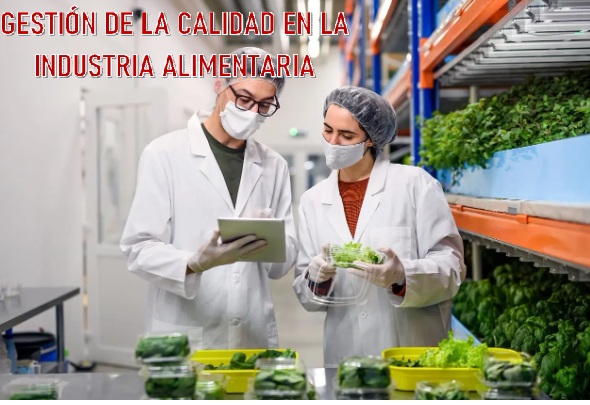 GESTIÓN DE LA CALIDAD EN LA INDUSTRIA ALIMENTARIA