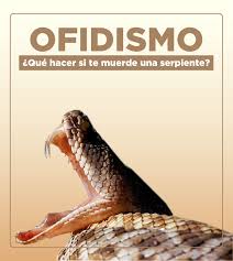 OFIDISMO Y MANEJO DE ACCIDENTES SÉRPENTICOS